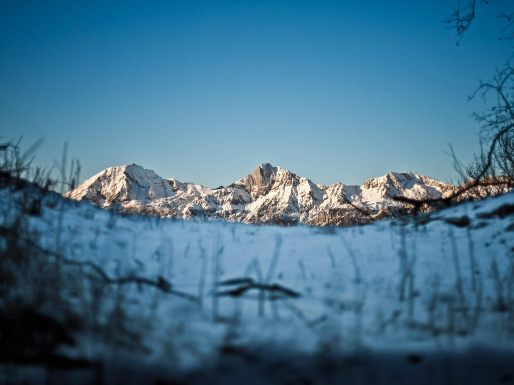 Ferienwohnungen Matzner Admont Esterno foto